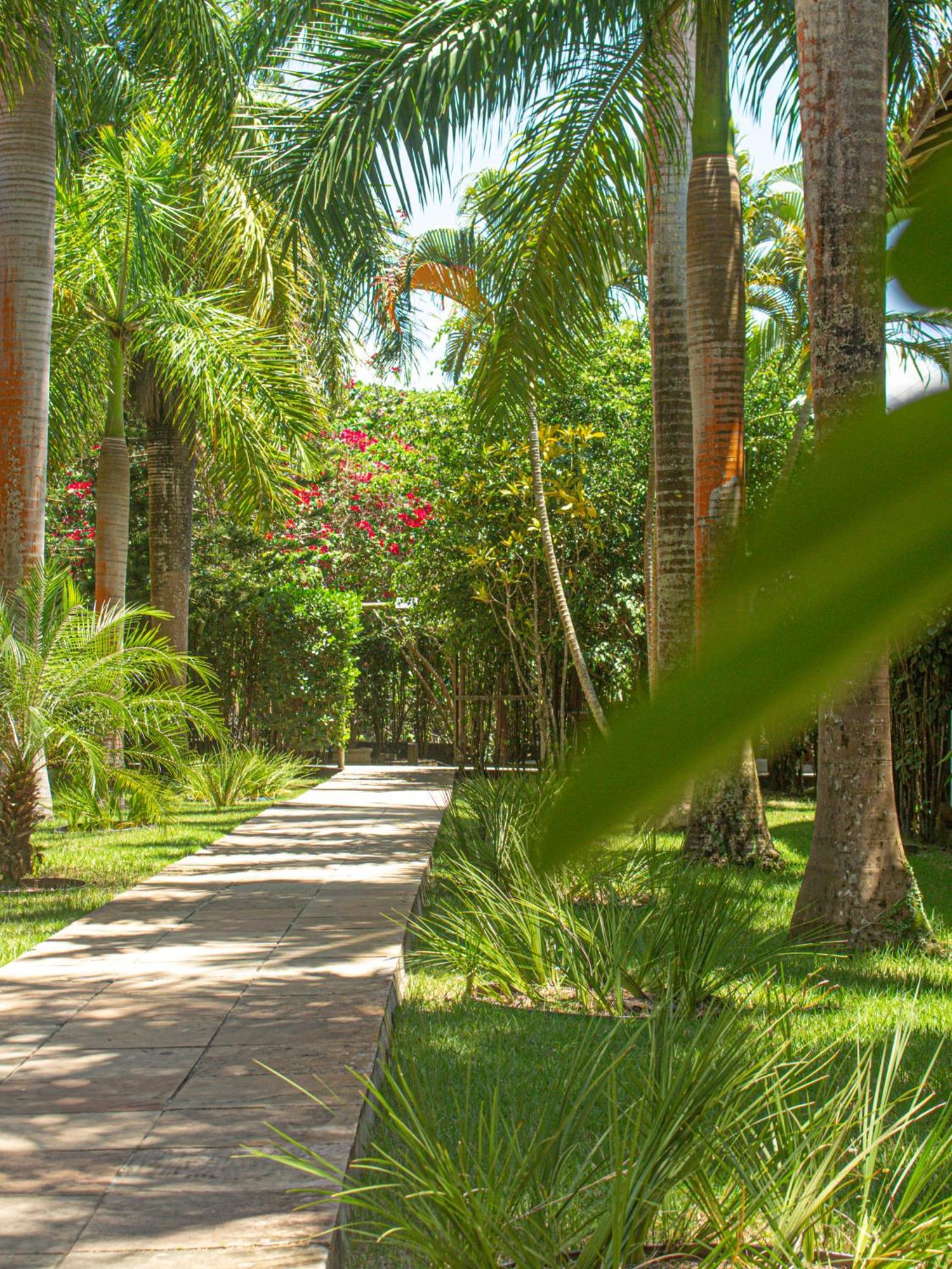 Sunshine Praia Hotel Porto Seguro Exteriör bild
